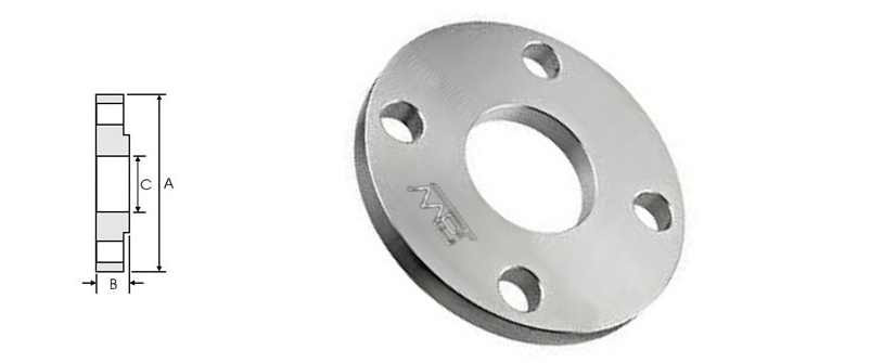 BS4504 Plate Flange Manufacturer in India
